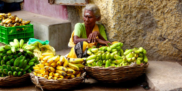 Banana seller, India