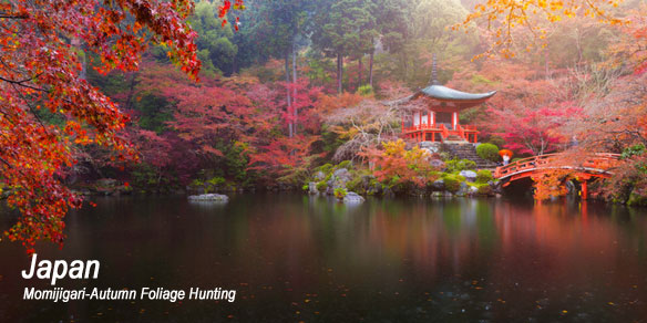 Momijigari-Hunting Autumn Foliage in Japan
