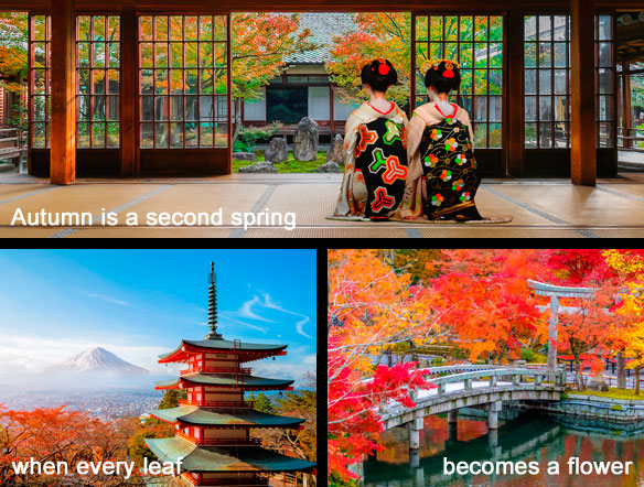 Japanese Geisha look at Rock Garden at Kennin-ji Temple, Japan